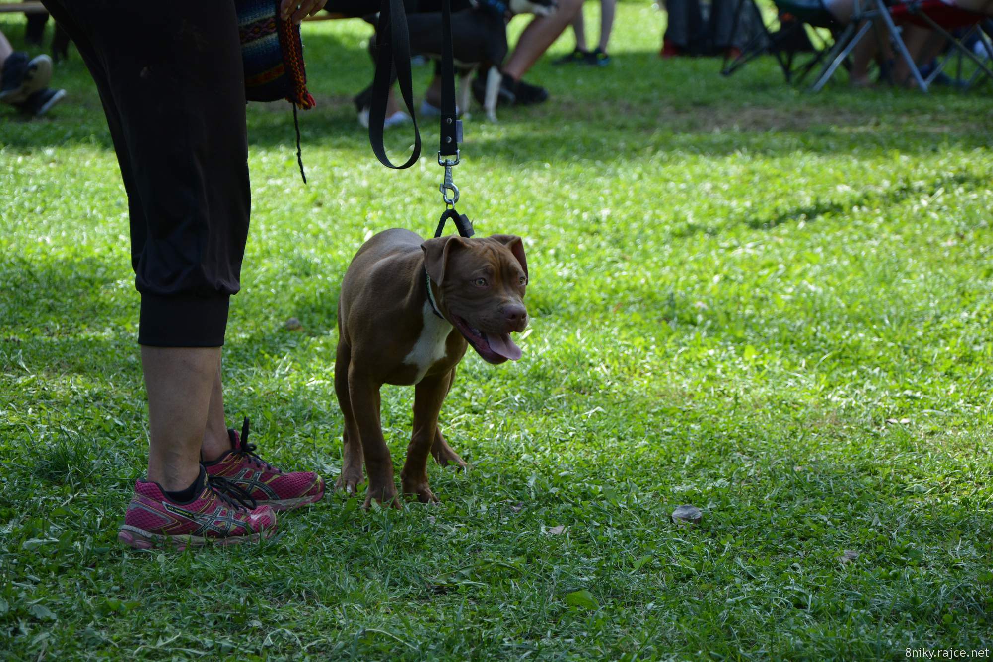DSC_1094